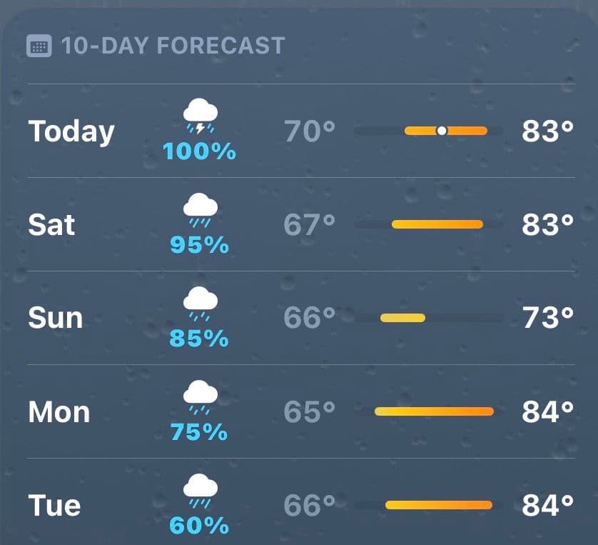 Project Georgia Rain Won't Stop - Is Your Commercial Roof Ready? image