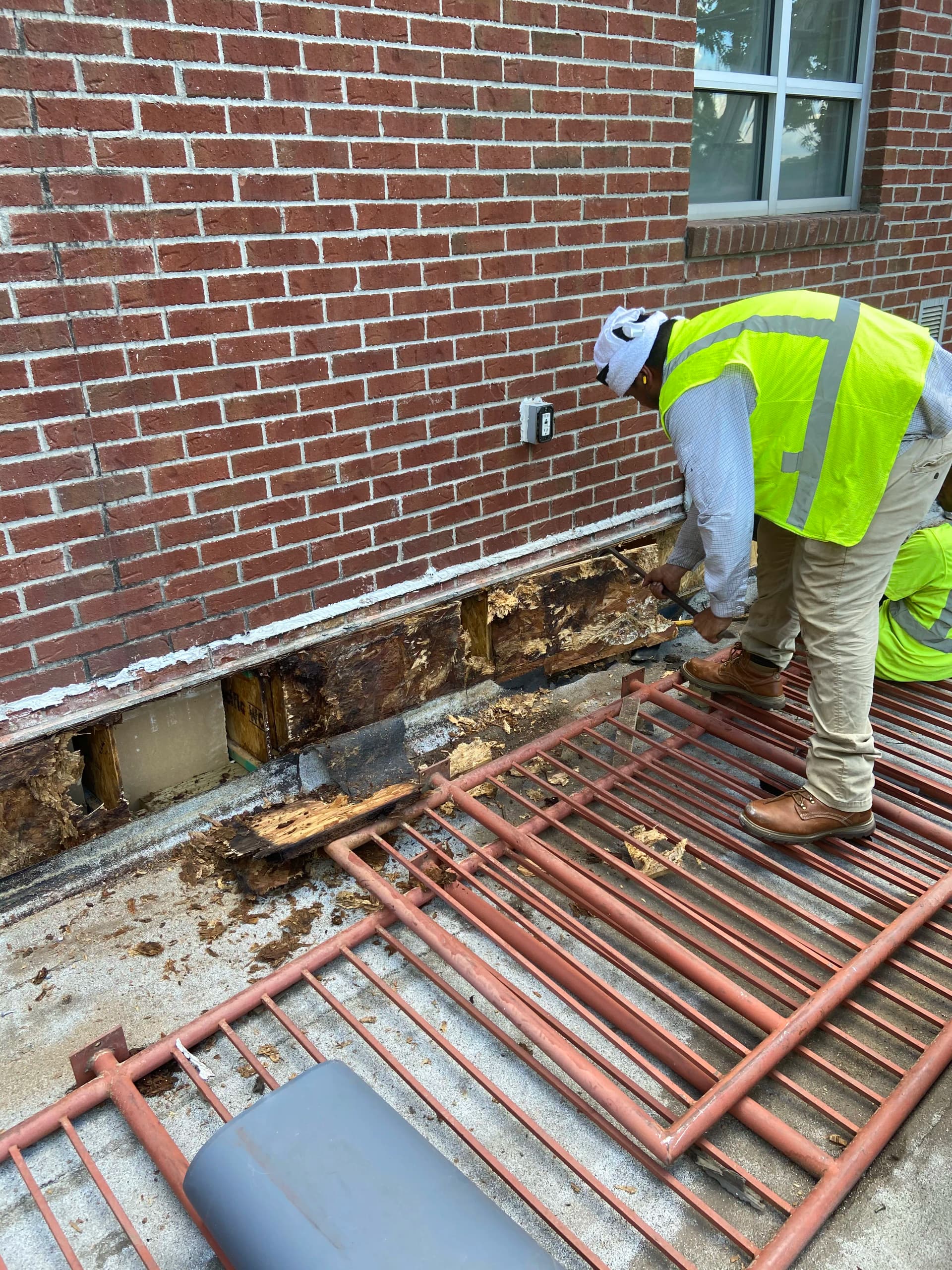 Rotten Wood Behind the Wall Is Never a Small Problem image